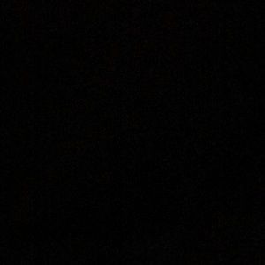 Meet your Posher, Antonia